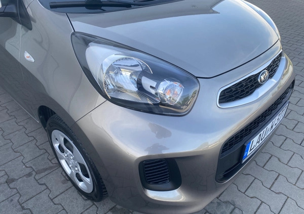 Kia Picanto cena 27950 przebieg: 130800, rok produkcji 2016 z Nowogrodziec małe 667